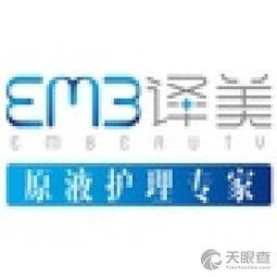 上海译美电子商务有限责任公司 电子商务经营的艺术与策略